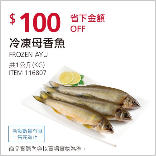 冷凍母香魚