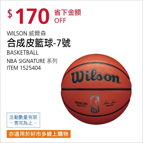 威爾森 合成皮籃球 NBA SIGNATURE SZ7 (７號)