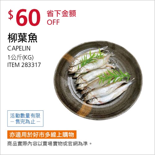 冷凍柳葉魚 1公斤
