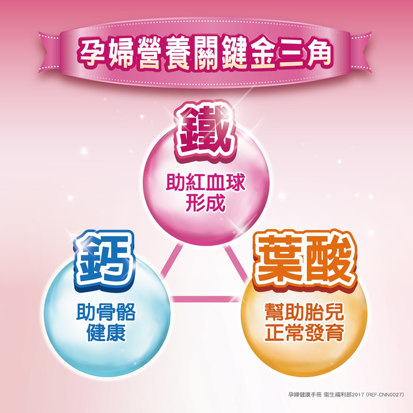 孕婦營養關鍵金3角 鈣 助骨骼 健康 鐵 助紅血球 形成 葉酸 幫助胎兒 正常發育 孕婦健康手冊