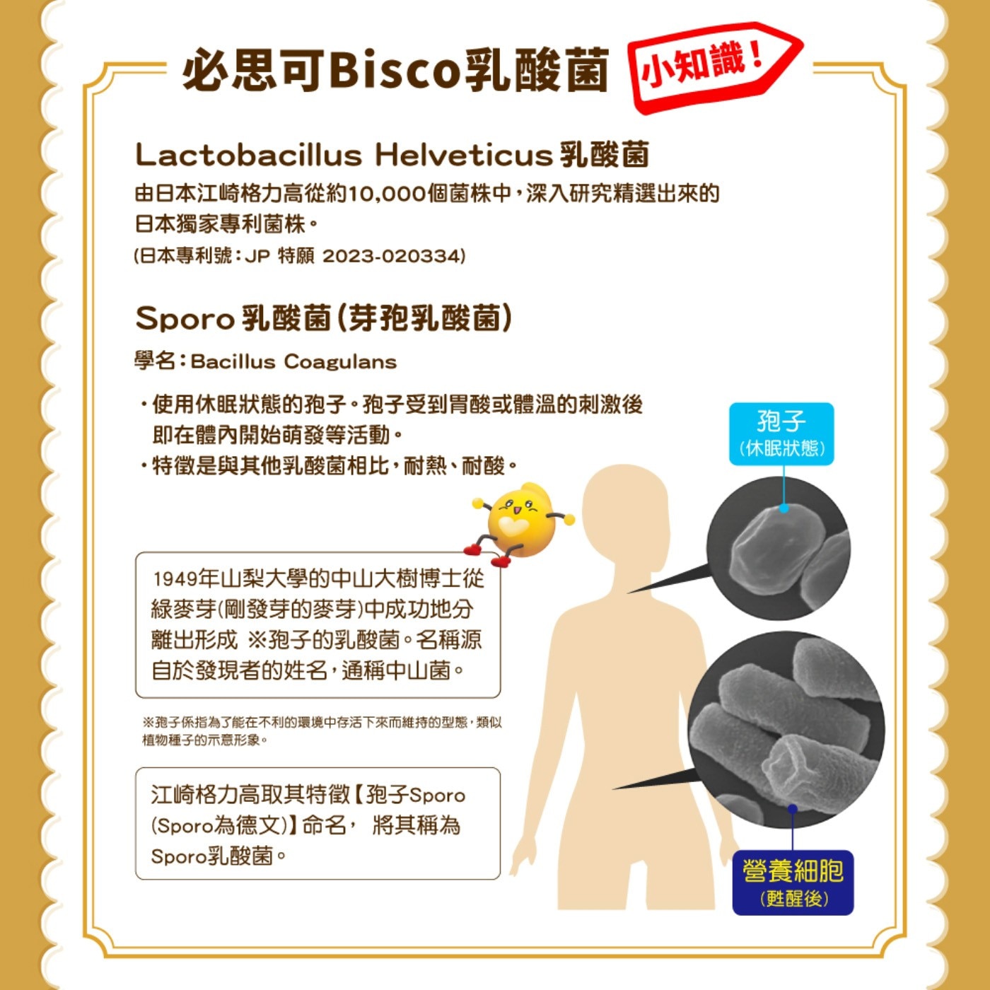 必思可Bisco乳酸菌 小知識! Lactobacillus Helveticus