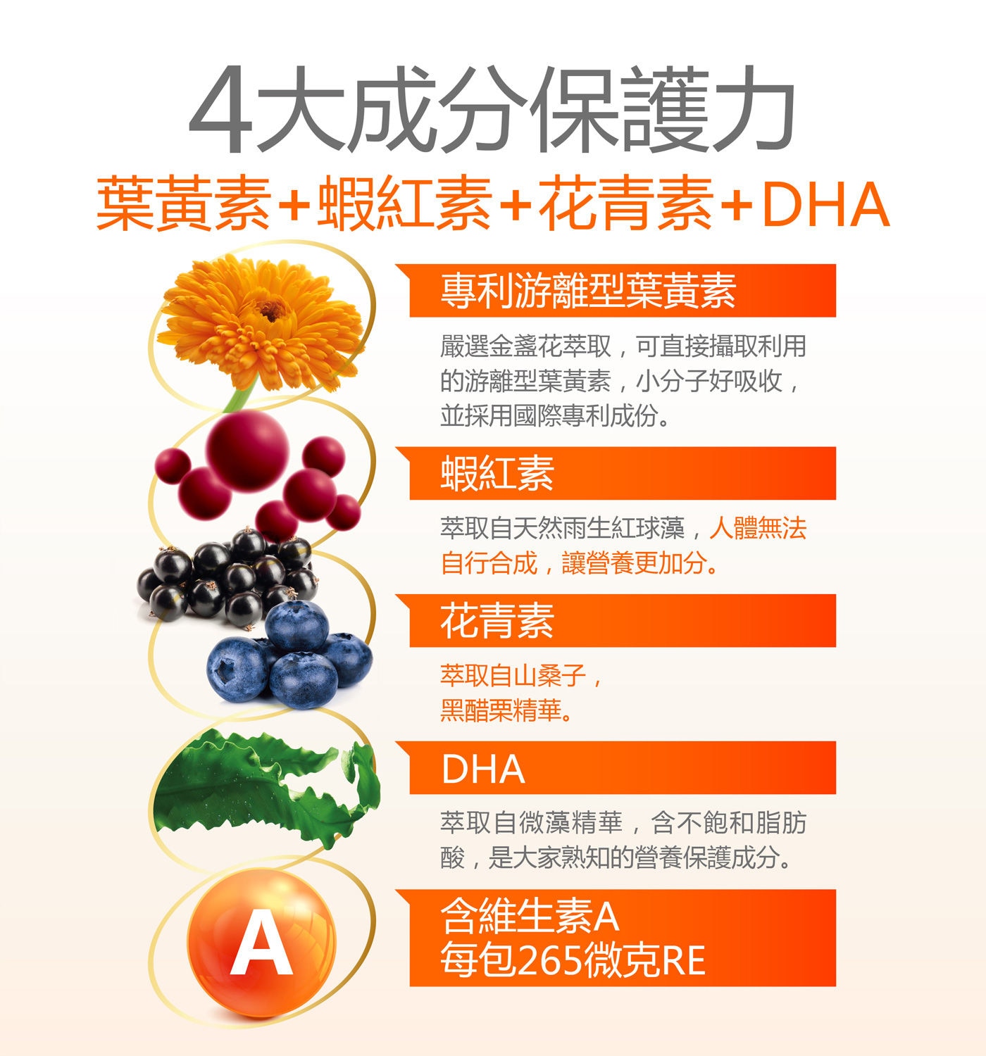 健康力葉黃素金盞花萃取物QQ凍４大成分完整保護，國際黃金比例專利游離型葉黃素，葉黃素＋蝦紅素＋花青素＋DHA。