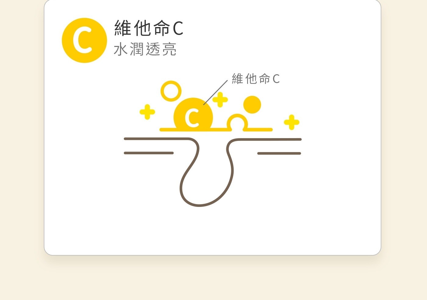 維他命C 水潤透亮