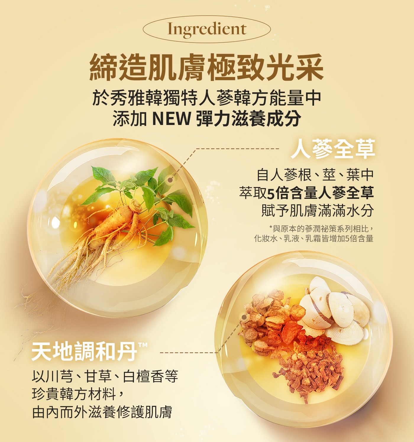 締造肌膚極致光采於秀雅韓獨特人蔘韓方能量中添加NEW彈力滋養成分