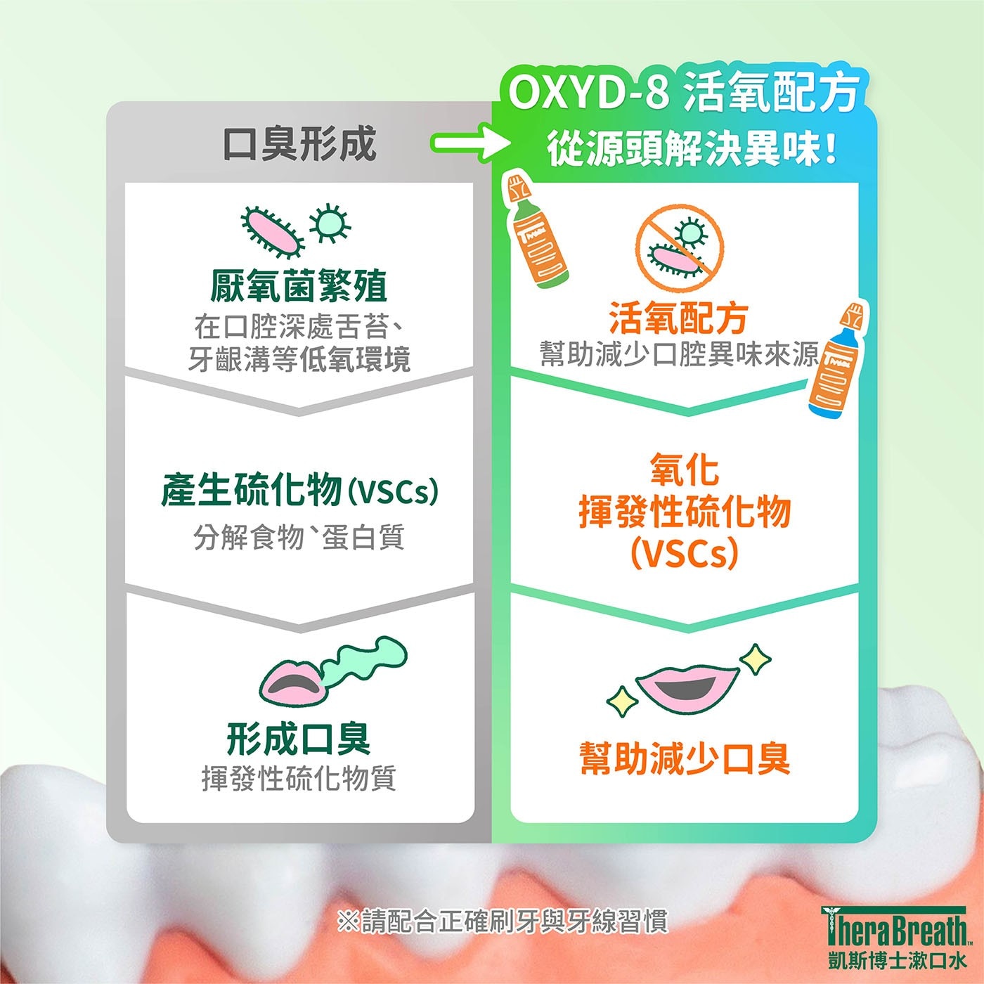 OXYD-8活氧配方 口臭形成 從源頭解決異味! 活氧配方 牙齦溝等低氧環境 幫助減少口腔異味來源