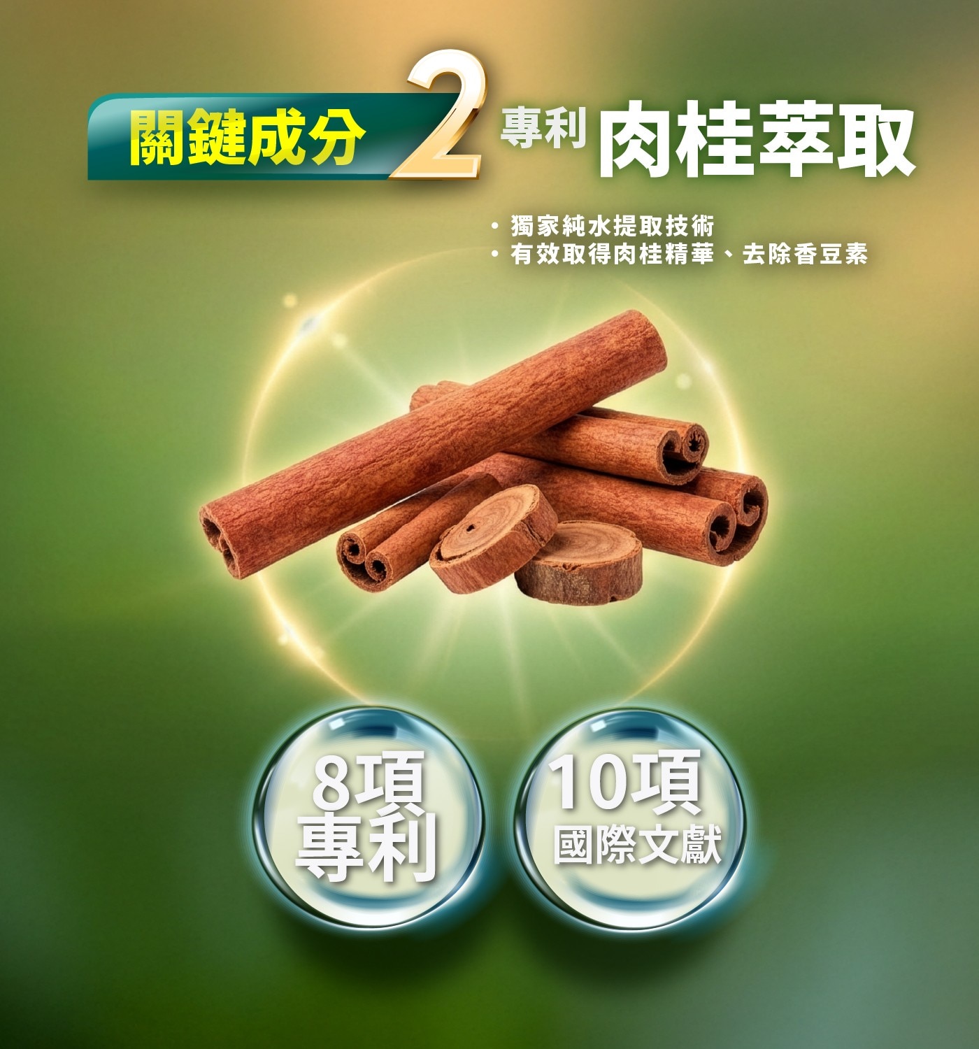 關鍵成分 專利 肉桂萃取 獨家純水提取技術 有效取得肉桂精華、去除香豆素 8項 10項 國際文獻