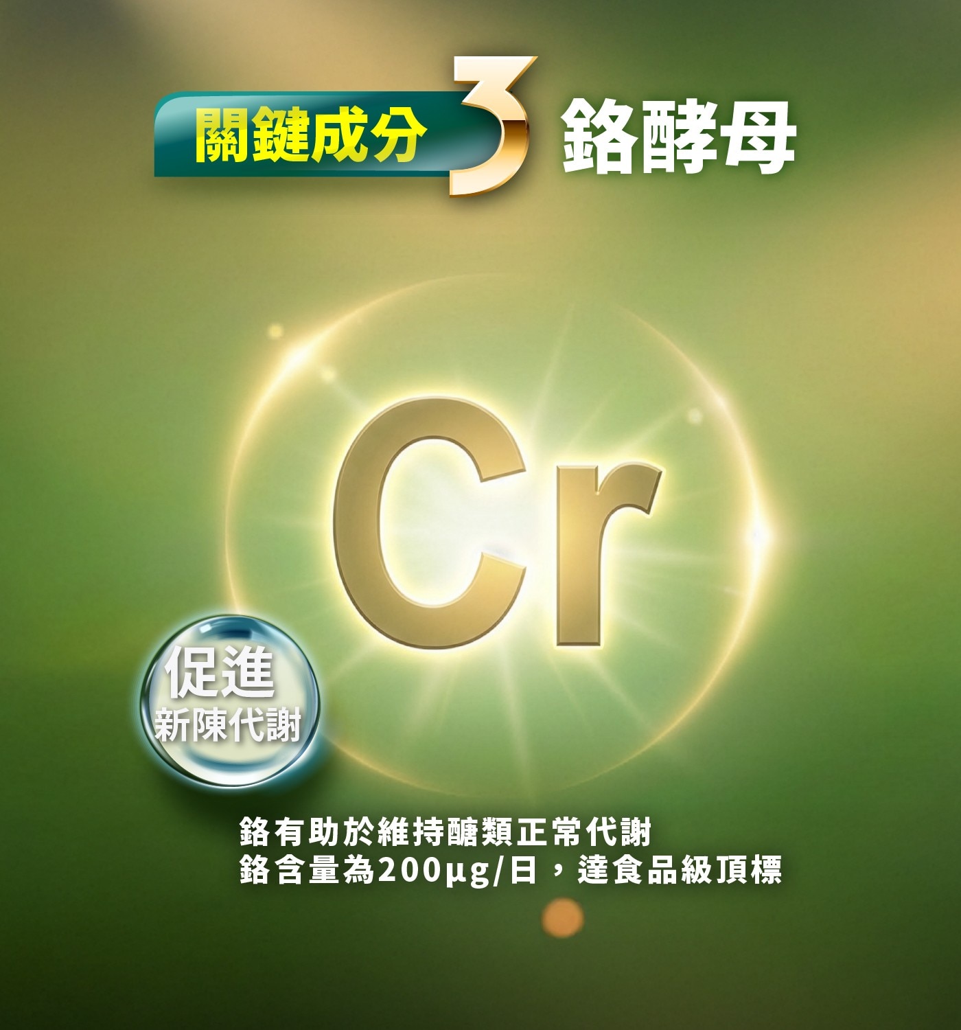 關鍵成分 促進 新陳代謝 鉻酵母 Cr 鉻有助於維持醣類正常代謝 鉻含量為200ug/日,達食品級頂標