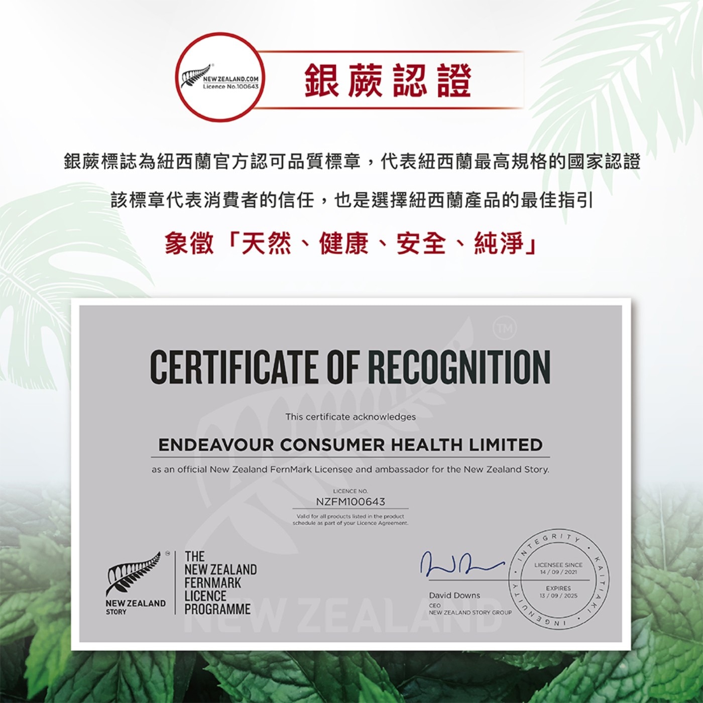 紅印 清新草本牙膏• 植物精油淨化口氣