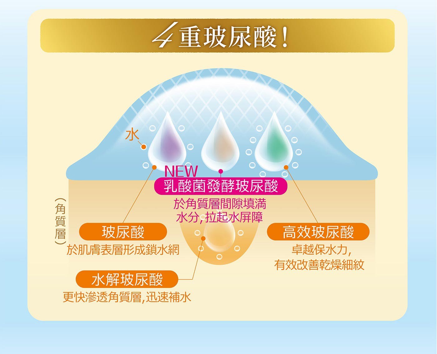 HADA LABO 肌研極潤保濕化粧水組，三重玻尿酸，長效潤澤，改善乾燥細紋，提升肌膚表層保水力，滲透角質層，補充肌底水分。