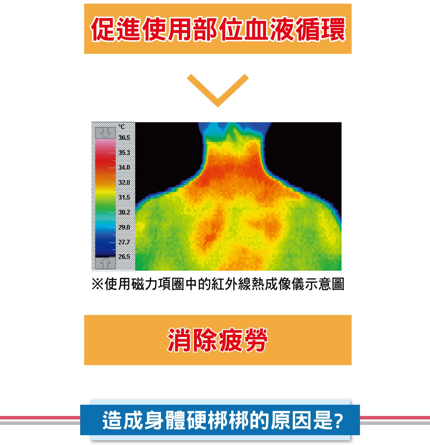 Elekiban易利氣磁力項圈強力型1500高斯 X 60公分，內藏20粒磁石，可水洗，適合重複使用。