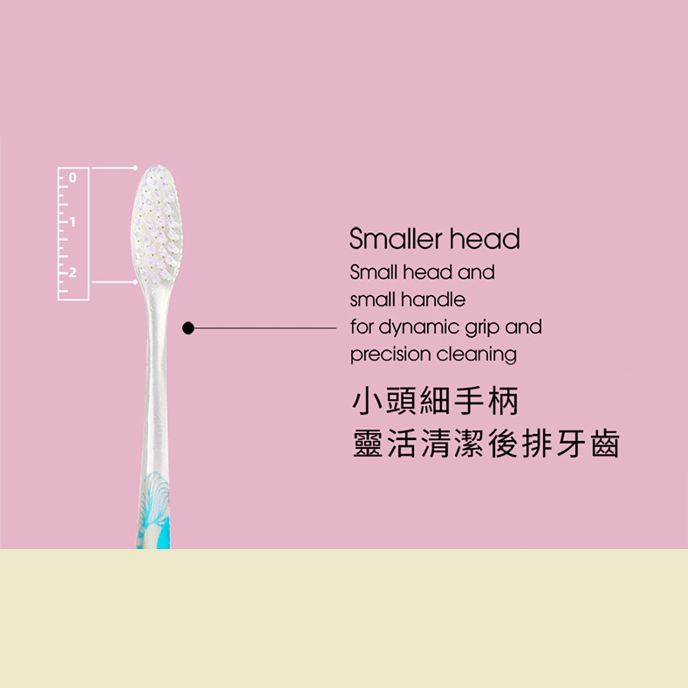 小頭細手柄靈活清潔後排牙齒