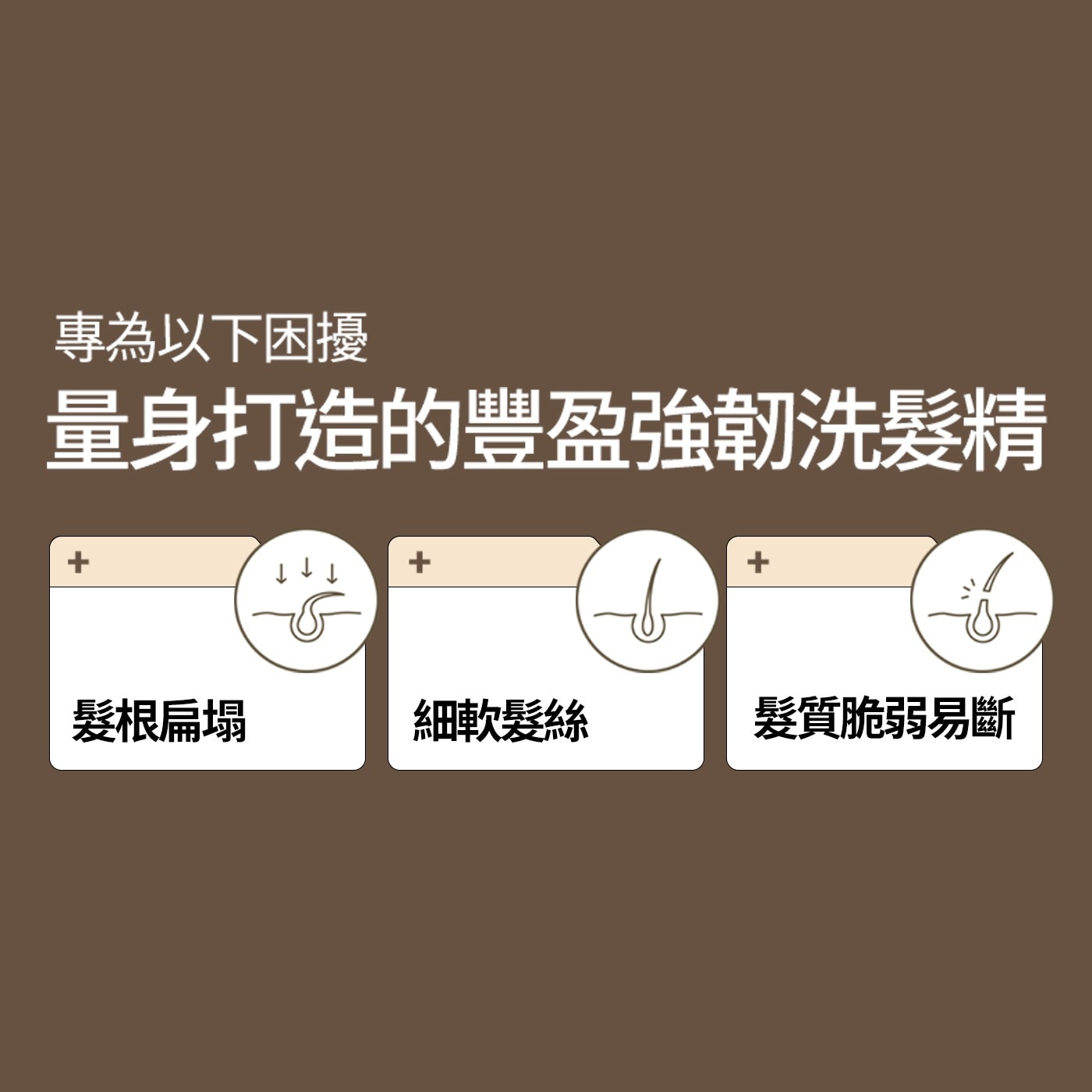專為以下困擾 量身打造的豐盈強韌洗髮精 髮根扁塌 細軟髮絲 髮質脆弱易斷