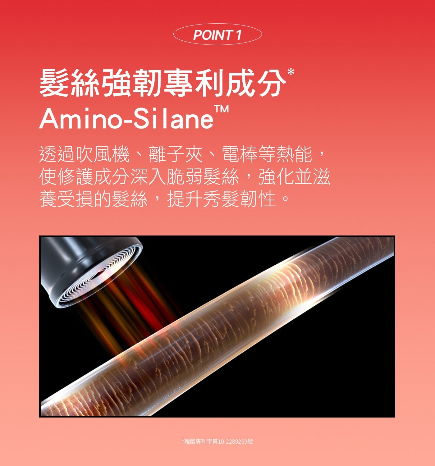 POINT 髮絲強韌專利成分 TM 透過吹風機、離子夾、電棒等熱能, 使修護成分深入脆弱髮絲,強化並滋 養受損的髮絲,提升秀髮韌性。 韓國專利字第10-59號