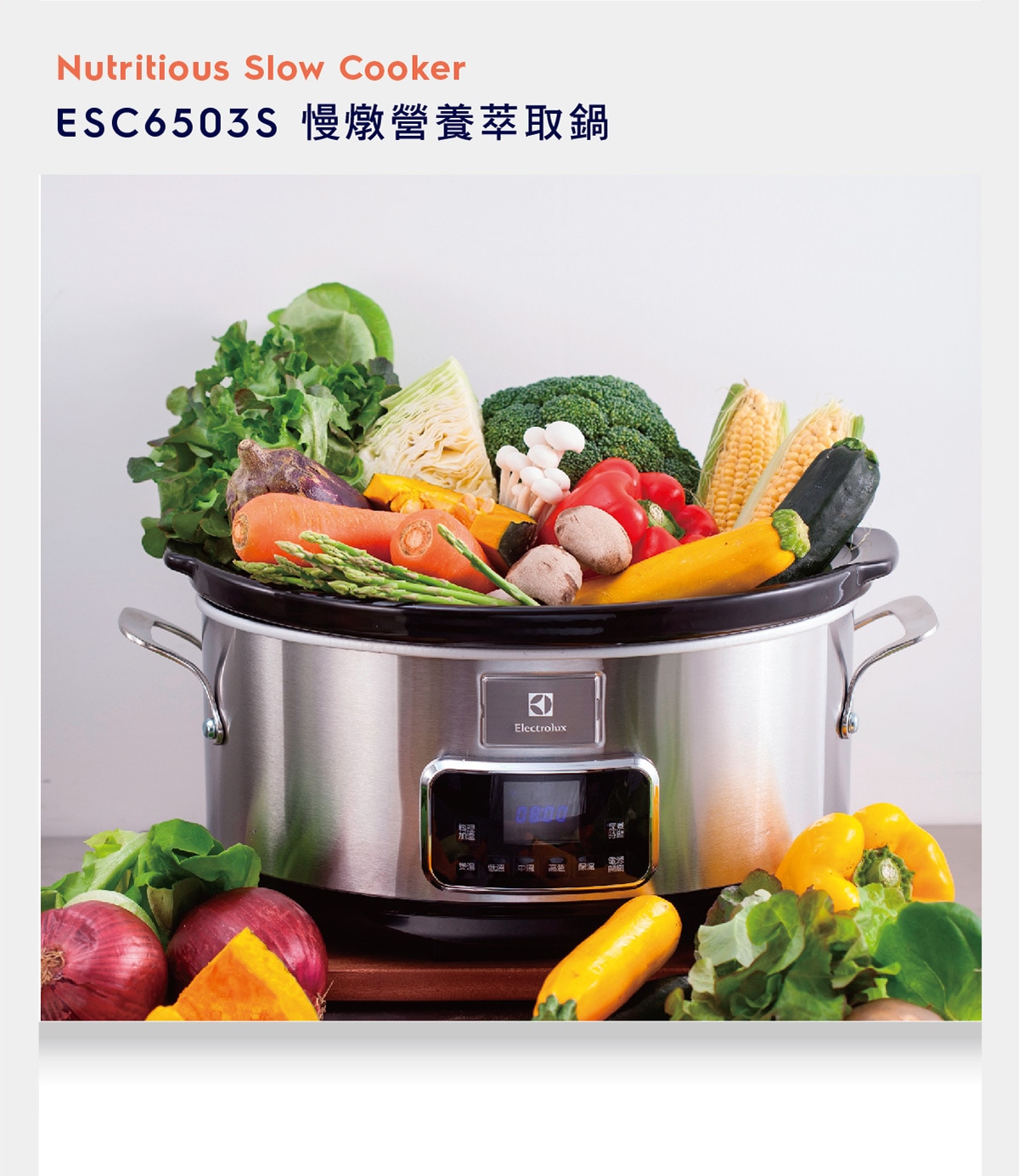 Electrolux slow cooker