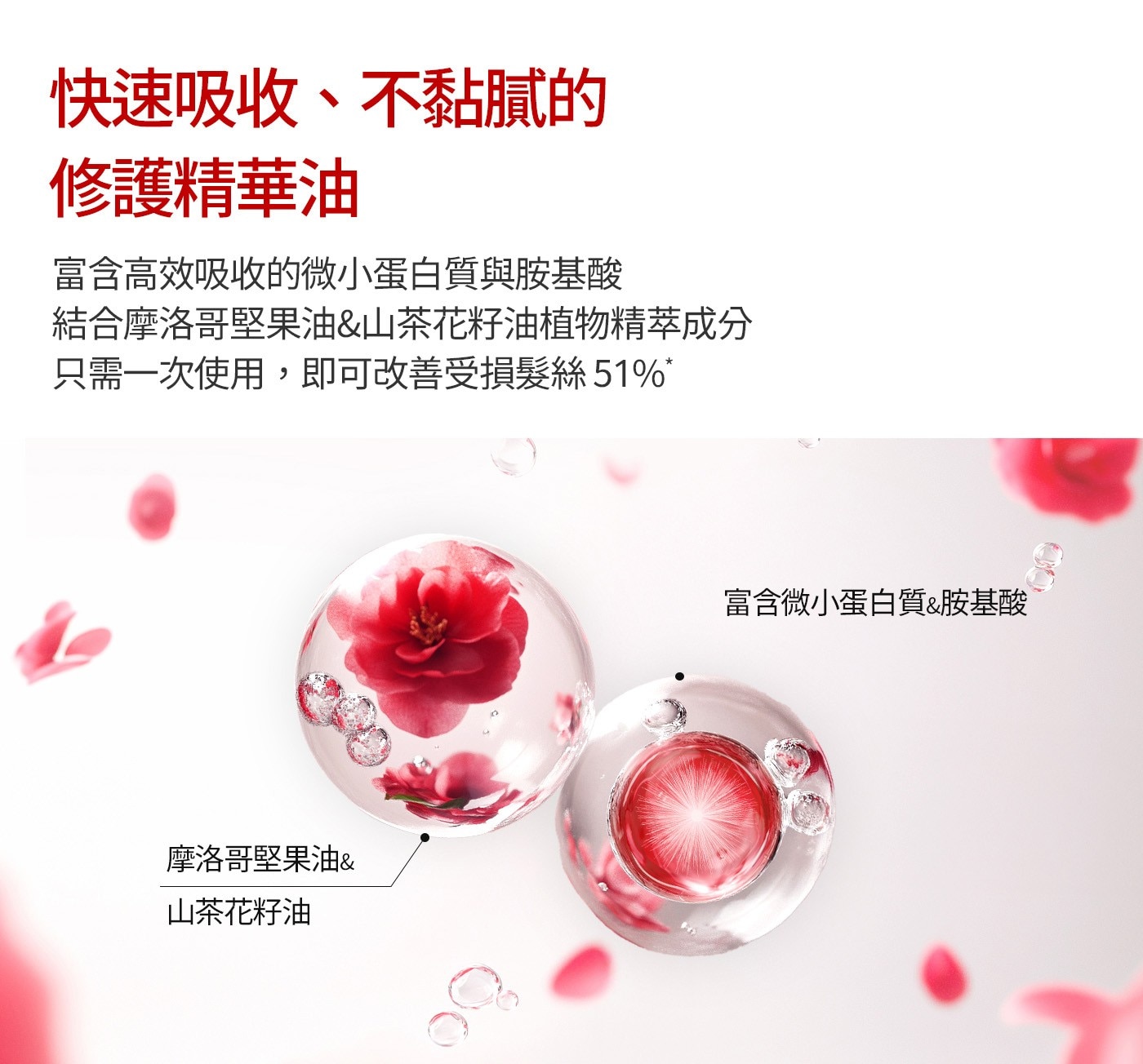 富含高效吸收的微小蛋白質與胺基酸結合摩洛哥堅果油&山茶花籽油植物精萃成分只需一次使用,即可改善受損髮絲51%*