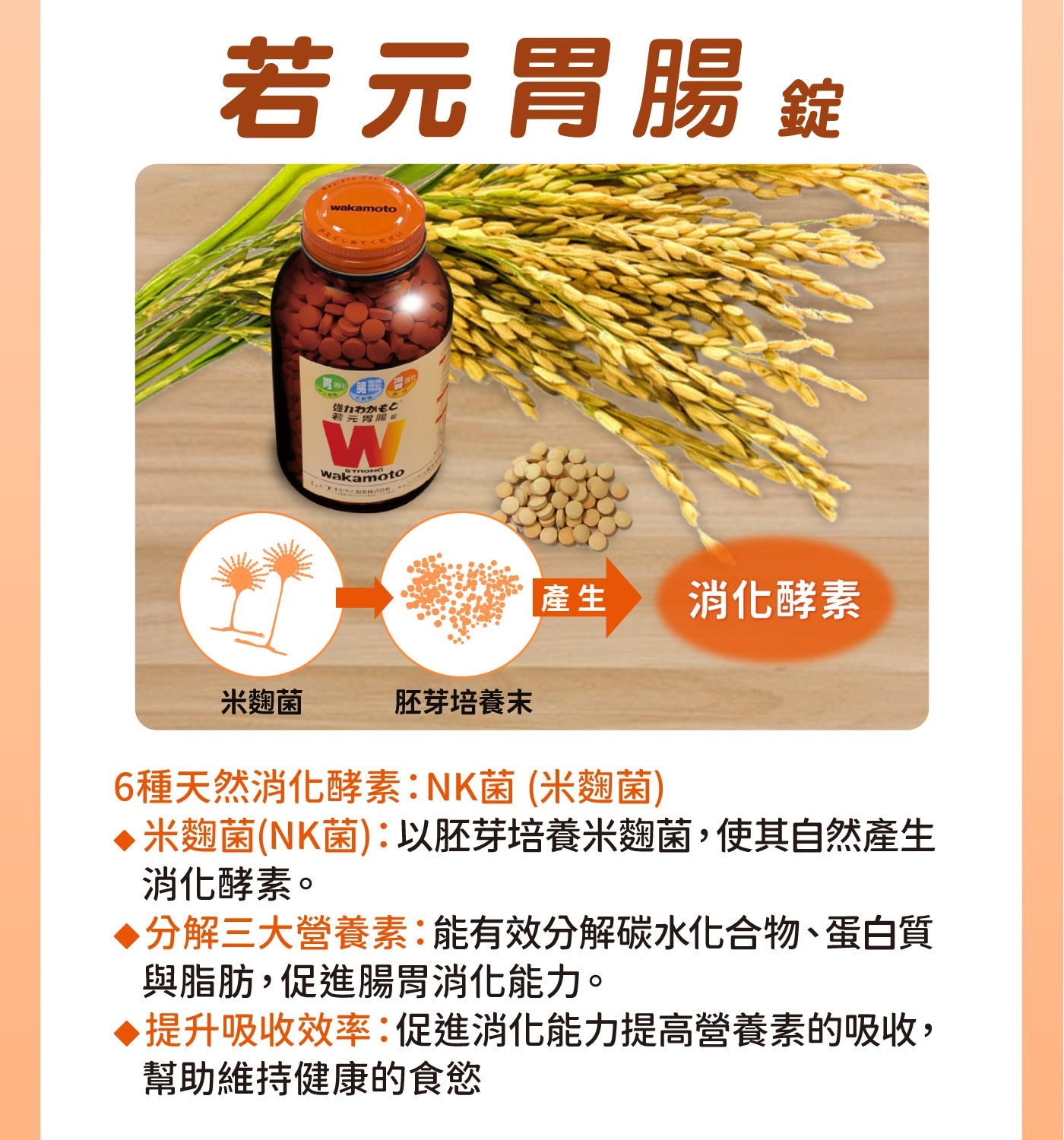 若元胃腸錠wakamoto強力わかもと若元胃腸飯WWaTRONGO產生消化酵素米麴菌胚芽培養末6種天然消化酵素:NK菌米麴菌♦米麴菌NK菌:以胚芽培養米麴菌,使其自然產生消化酵素。▶分解三大營養素:能