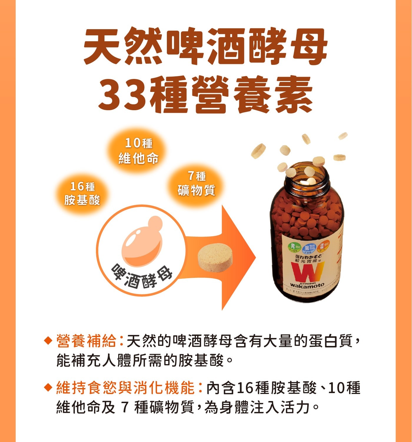 天然啤酒酵母33種營養素10種維他命16種胺基酸酒酵合7種礦物質胃酒化強力わかも若元胃腸吃Wwakamoto▶營養補給:天然的啤酒酵母含有大量的蛋白質,能補充人體所需的胺基酸。維持食慾與消化機能:內含