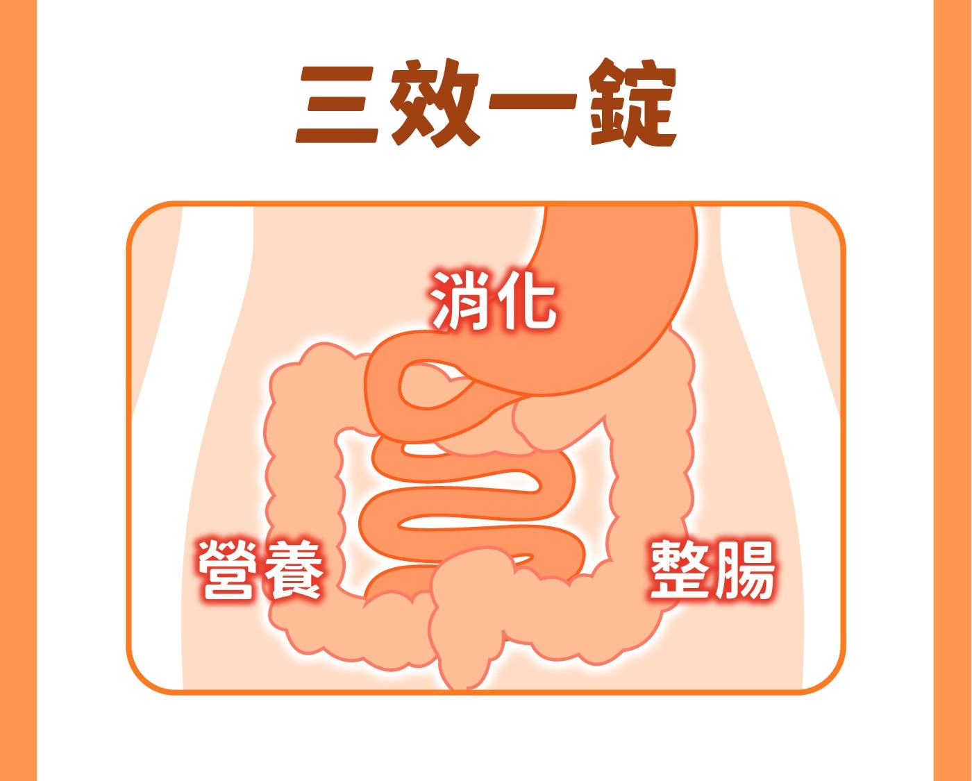 三效一錠消化營養整腸