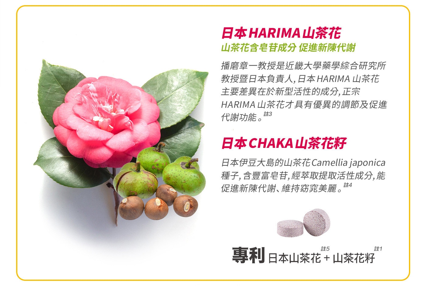 WEIDER 威德雙茶花速崩錠，餐前五分鐘食用，Chaka日本山茶花籽專利原料，MOROSIL義大利血橙促進新陳代謝，解除負擔窈窕不卡關。