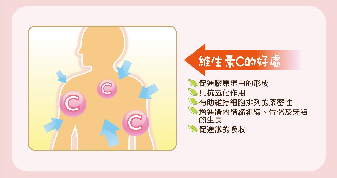 台灣武田愛喜維生素C口嚼錠口嚼即溶，攜帶方便，促進新陳代謝/健康維持 提升防護力/促進鐵的吸收。