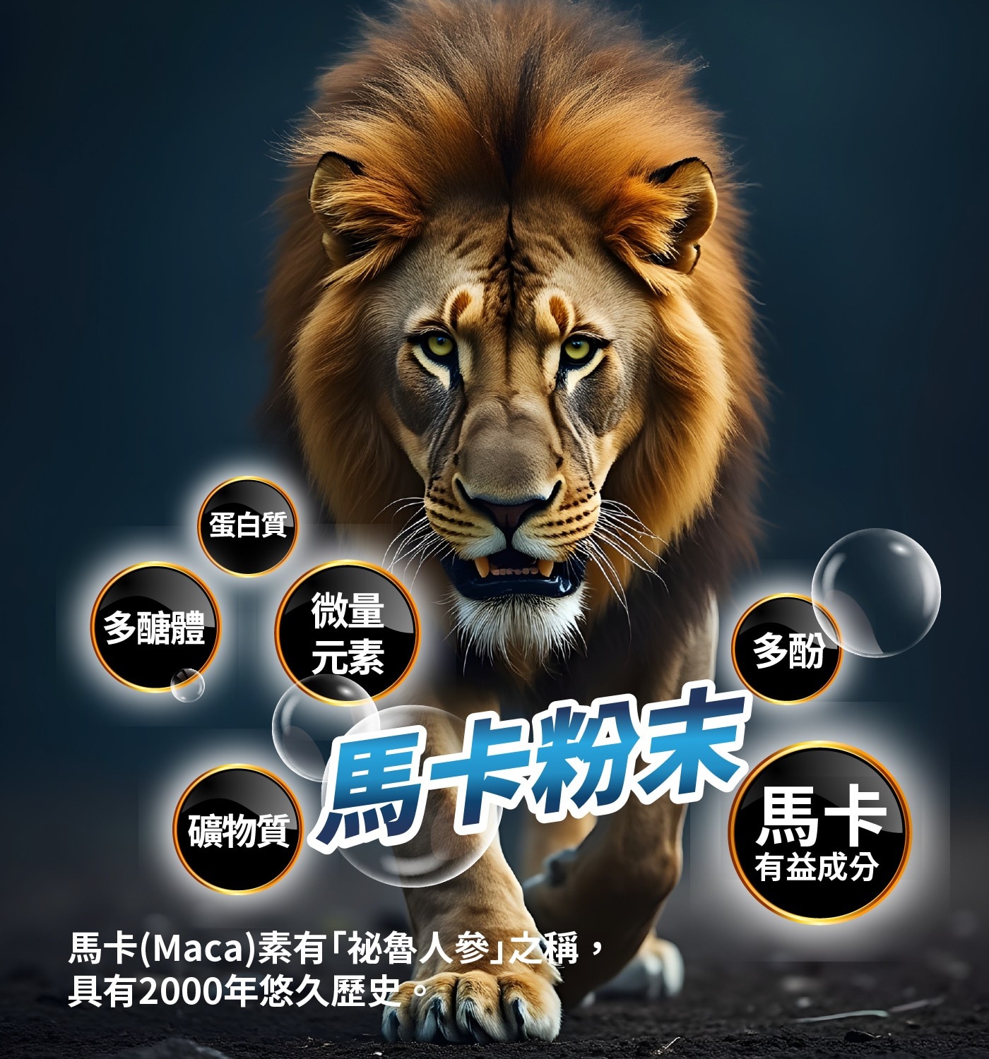 蛋白質 多醣體 微量 元素 礦物質 鳥卡粉末 馬卡Maca素有「祕魯人參」之稱, 具有2000年悠久歷史。 多酚 馬卡 有益成分