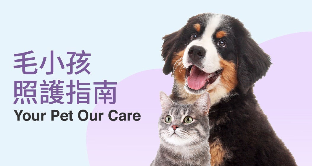 毛小孩照護指南