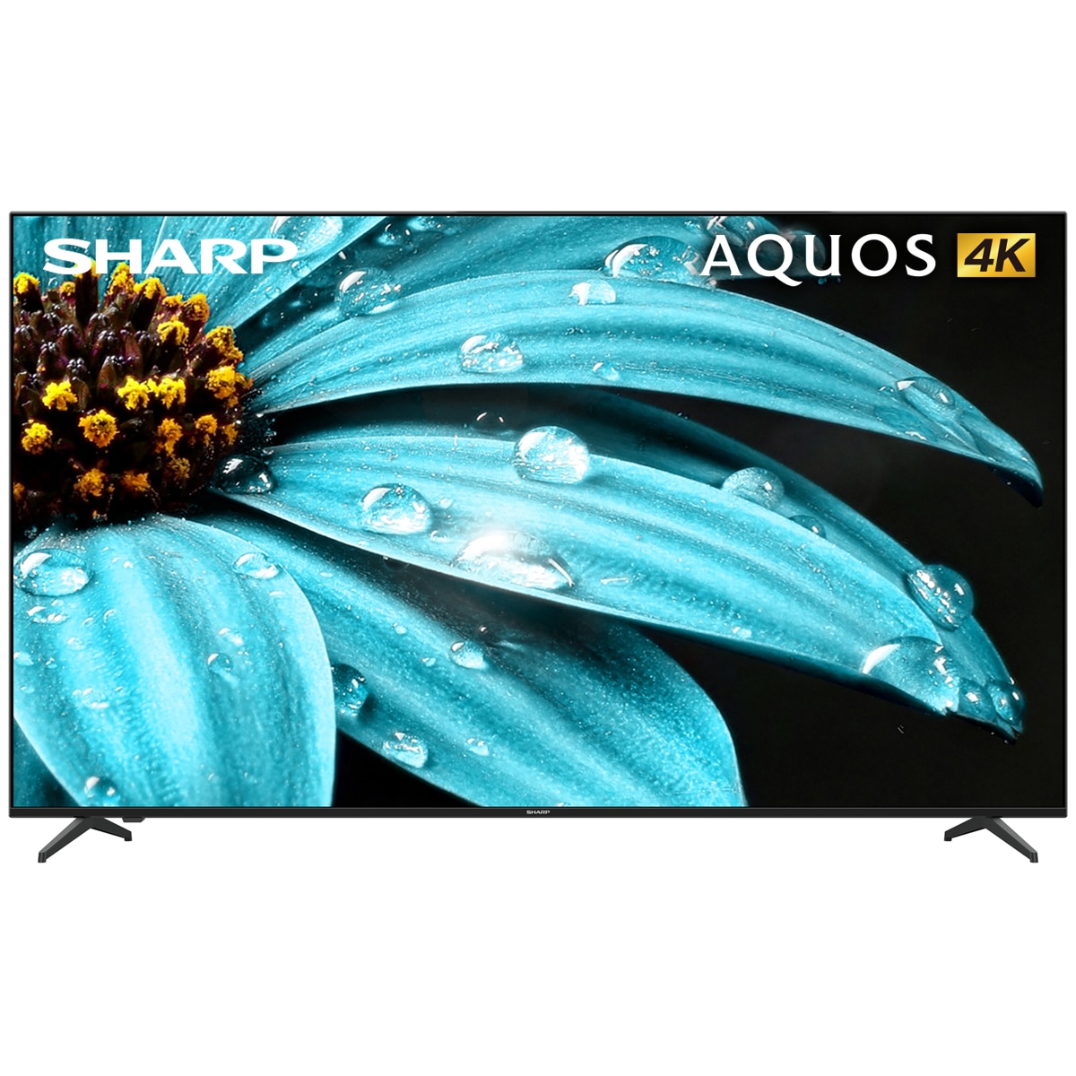 SHARP 夏普獨有的AQUOS技術確保優異色彩和層次感，畫面生動逼真。配備GoogleTV系統支持流行應用程式。先進杜比音效增強沉浸感，超薄設計融入家居。提供完善的售後服務和技術支持，並提供可靠的產品保修和維修服務