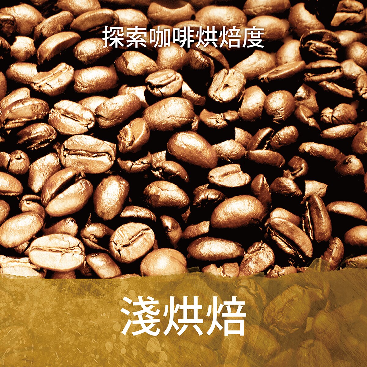 輕度烘焙咖啡豆，口感滑順袋有巧克力香味的精選阿拉比卡咖啡豆。