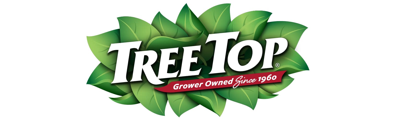 Tree Top 樹頂 LOGO