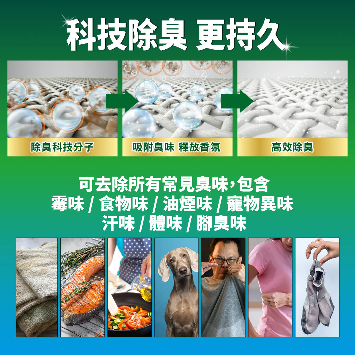 Persil 寶瀅經德國漢高研發中心測試，Persil 寶瀅可高效去除99%病毒與細菌、有效除蟎、洗去常見過敏原