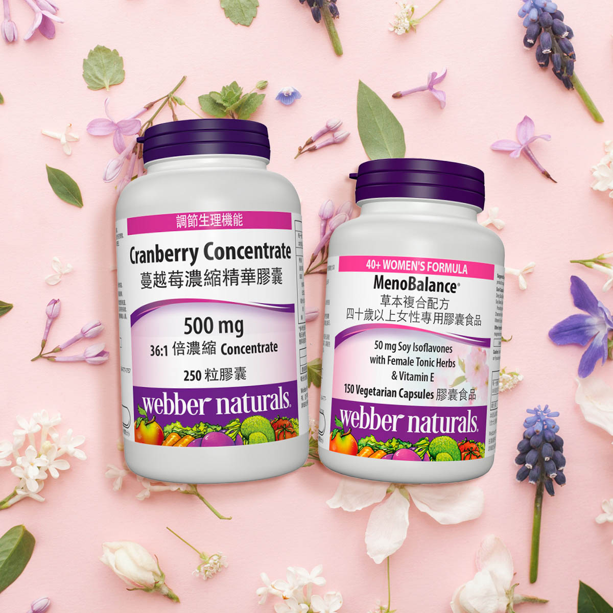 Webber Naturals 草本複合配方四十歲以上女性專用膠囊食品幫助年長女性調節生理機能、青春美麗。蔓越莓濃縮精華膠囊，使用農場新鮮採摘蔓越莓36:1濃縮製成，幫助健康維持。