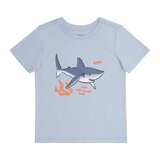 Pekkle 幼兒服飾四件套組 鯊魚 5T
