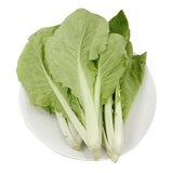 有機小白菜 500公克