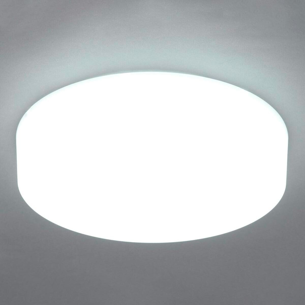 IRIS OHYAMA 2000流明 LED 小型吸頂燈 白光