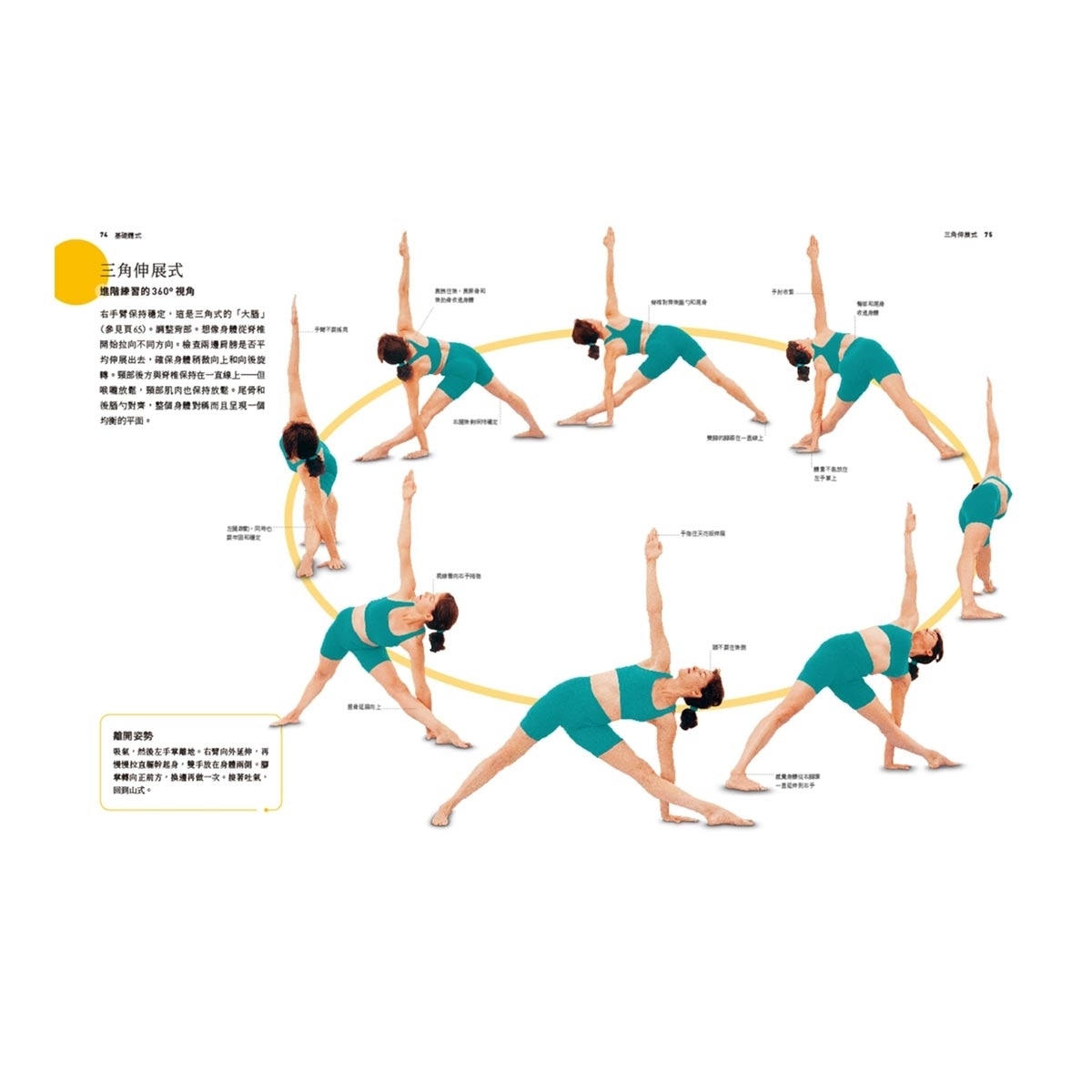 艾揚格瑜伽修習寶典：大師親授體式精要，360°全方位步驟解析，幫助練習者持續走向身心整合的健康之路