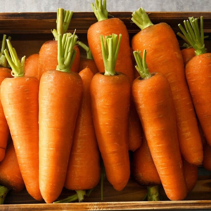 產履 VDS 活力胡蘿蔔 2公斤