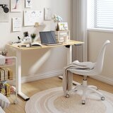 Flexispot 電動升降桌