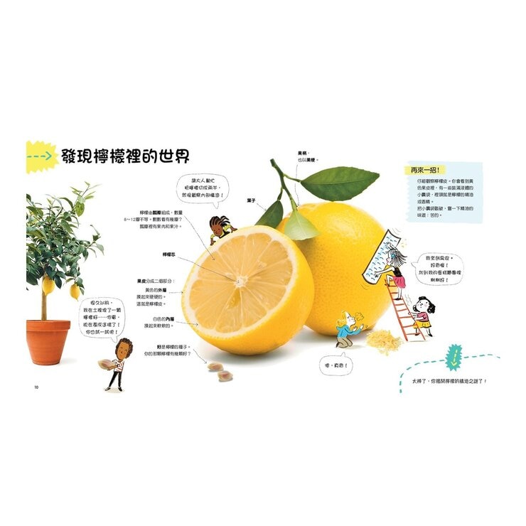 藏在生活裡的科學套書 (７冊)