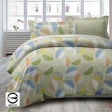 Caliphil 美國棉雙人加大床包兩用被四件組 183公分 X 190公分 咖啡樹