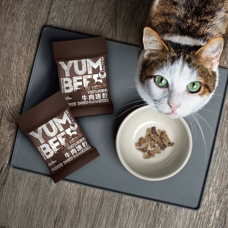 歐鮮 寵物牛肉凍乾 隨手包 10公克 X 30入