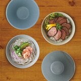 Minoyaki 日本製美濃燒輕量麵碗 4件組