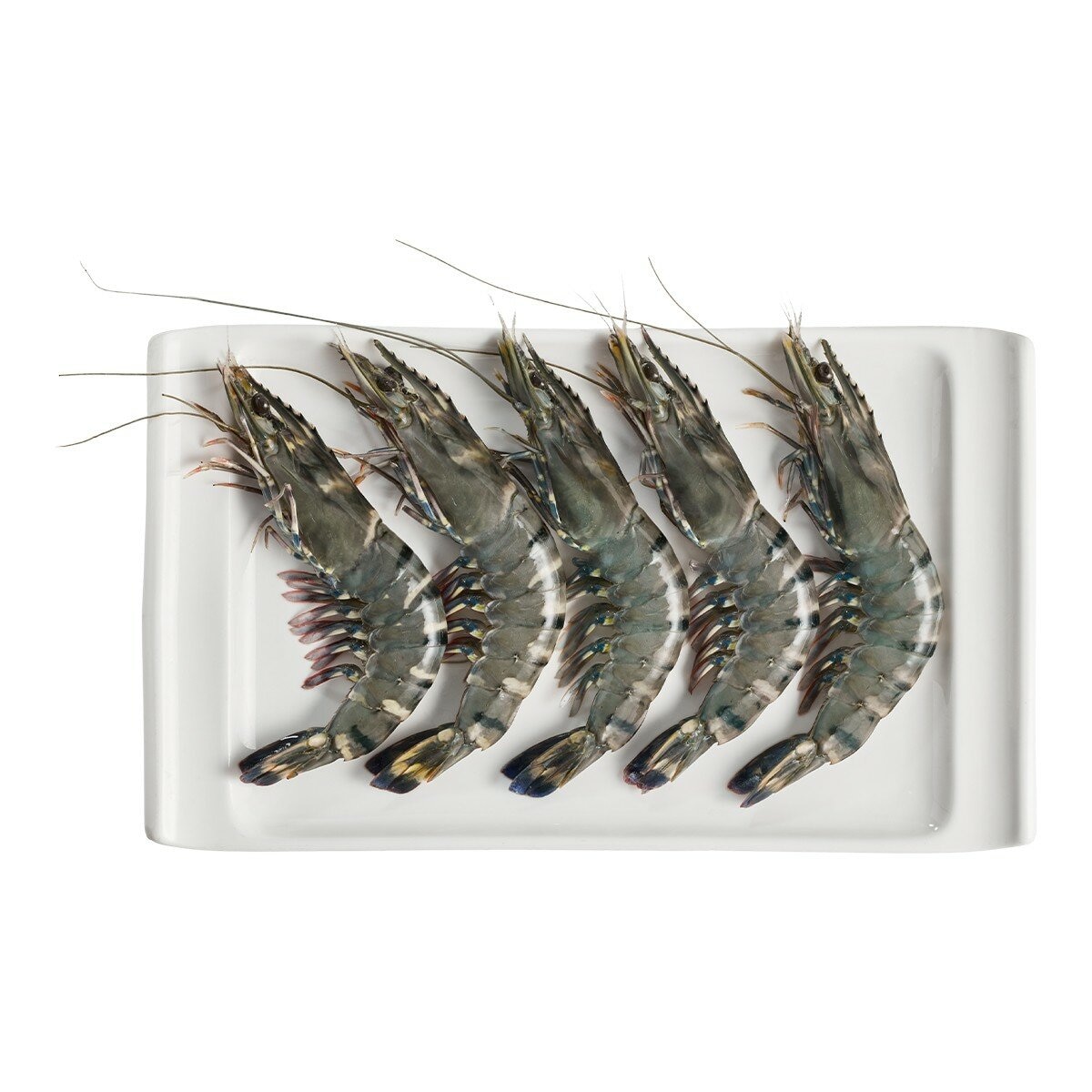 冷凍澳洲黑虎蝦