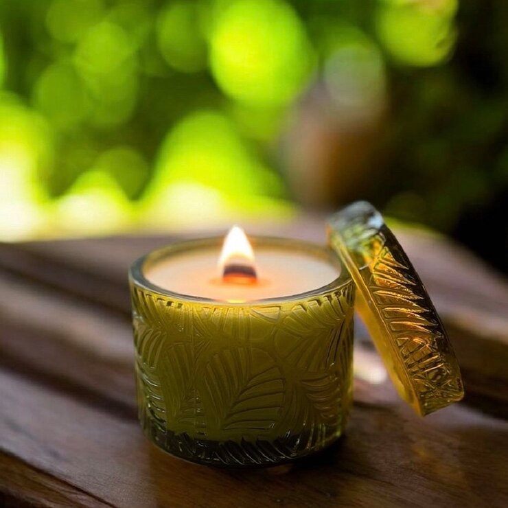 Olive Oil 香氛蠟燭禮盒 210公克 X 3件組