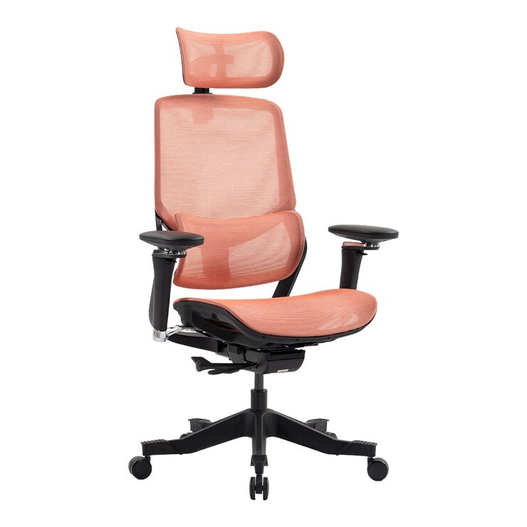 ERGOKING S5 人體工學椅 黑框橘網