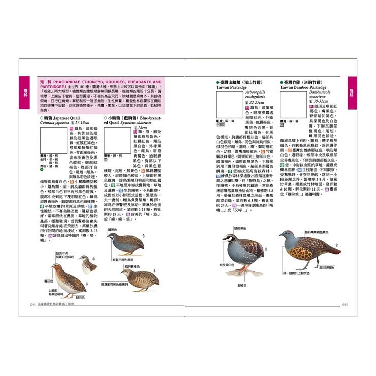 手繪臺灣野鳥新圖鑑（共２冊）：水鳥＋陸鳥