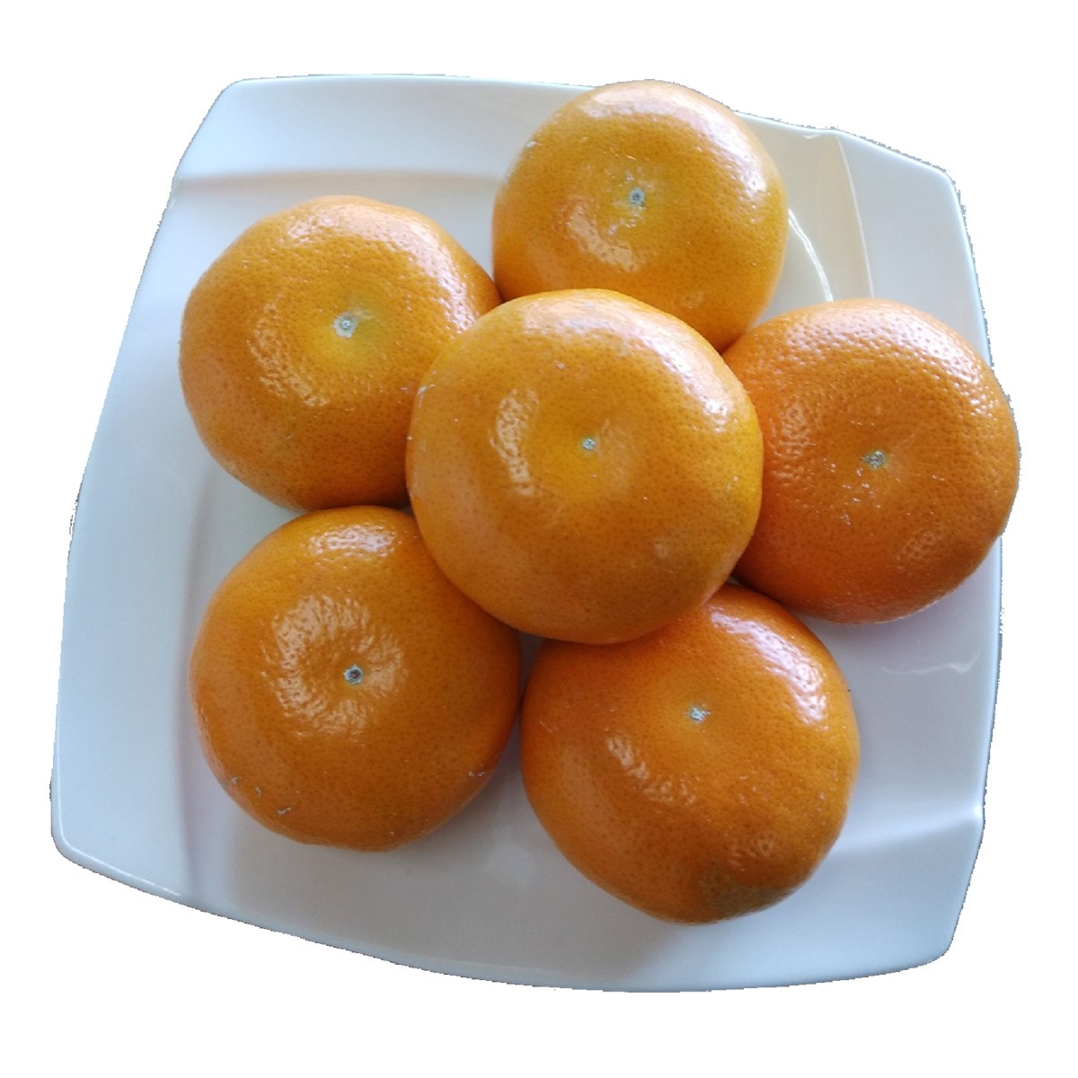 產銷履歷茂谷柑 3公斤