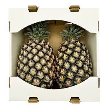 產履金鑽鳳梨 3.6公斤 / 2入