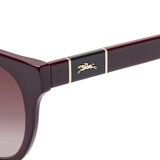 LONGCHAMP 太陽眼鏡 LO697S 601 深紅色