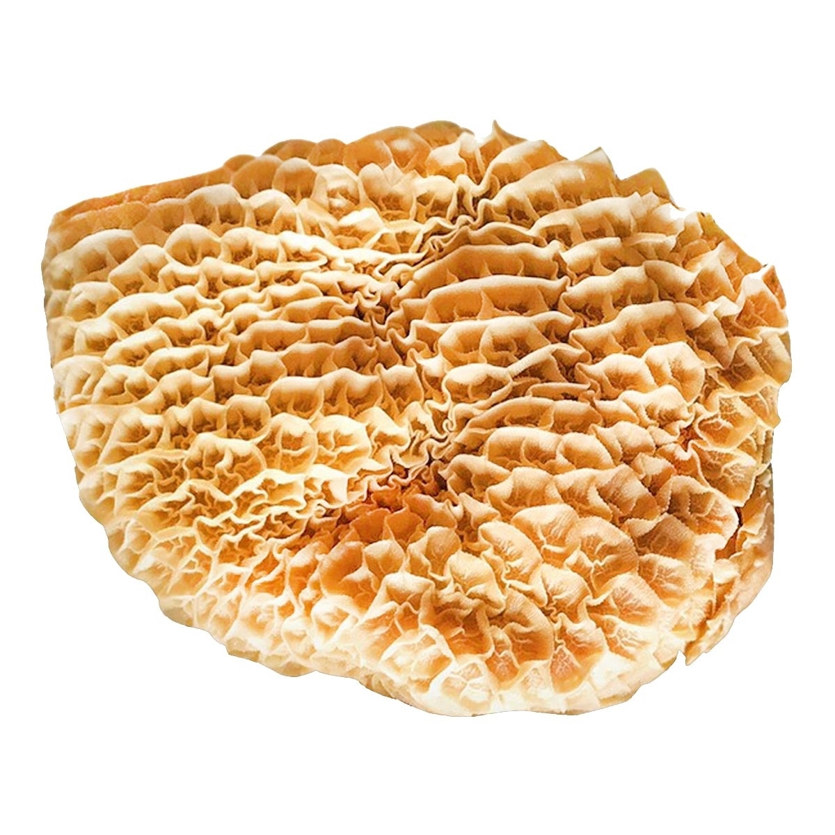 澳洲冷凍牛肚整箱銷售