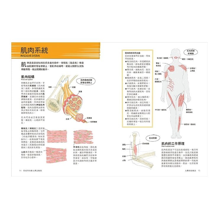 真希望基礎生物這樣教 + 真希望基礎人體這樣教 暢銷修訂版 (共二冊)
